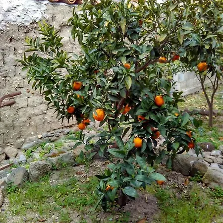 Casa Martis Frühstückspension *